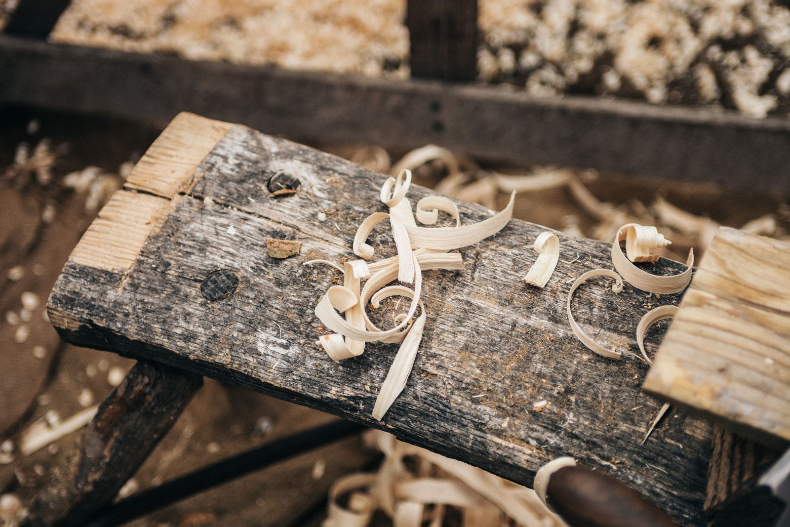 Fresh wood shavings on a well-used timber workbench